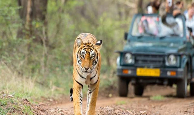 Rajasthan Wildlife Tour Package